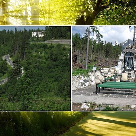 Apartman Solisko Vysoké Tatry Kültér fotó